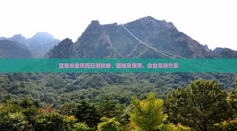 宜春去重庆四日游