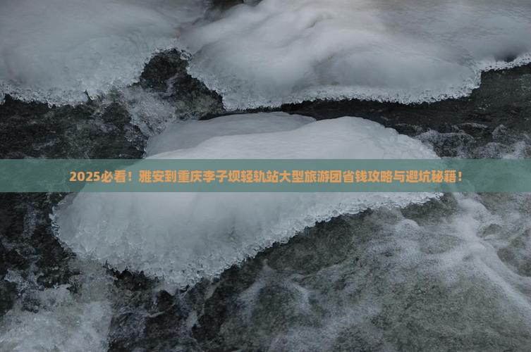 雅安到重庆李子坝轻轨站大型旅游团