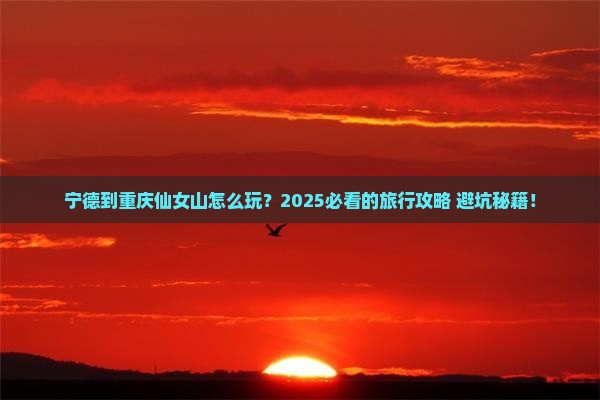 宁德到重庆仙女山旅游