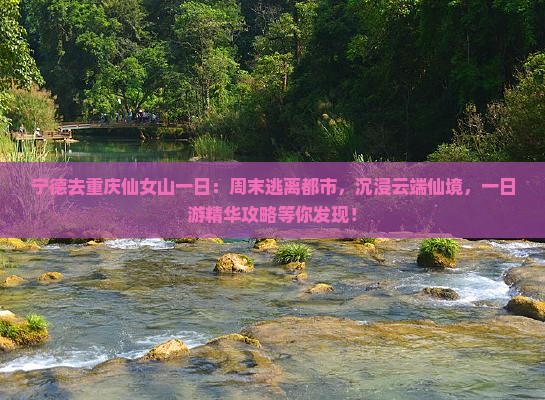 宁德去重庆仙女山一日