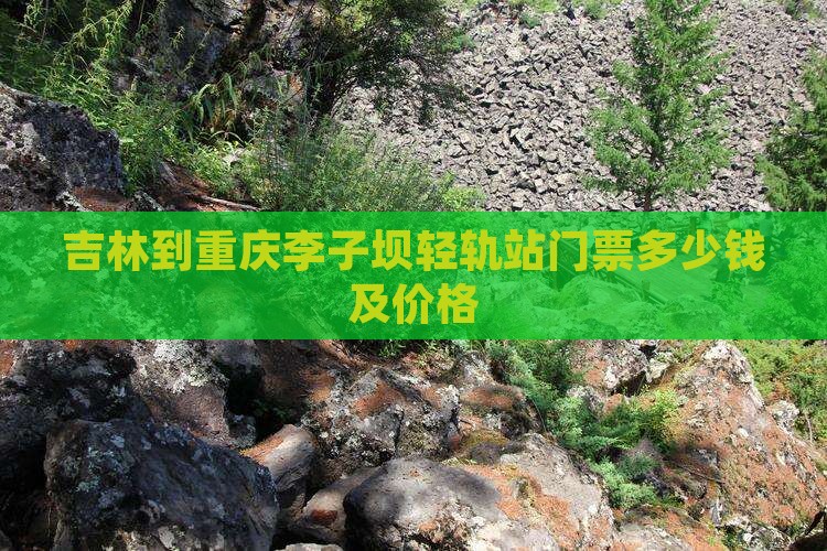 吉林到重庆李子坝轻轨站门票