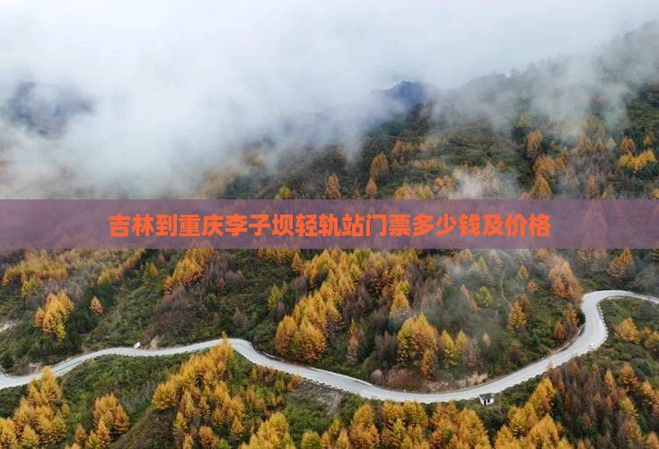 吉林到重庆李子坝轻轨站门票