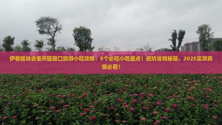 伊春去重庆磁器口旅游小吃