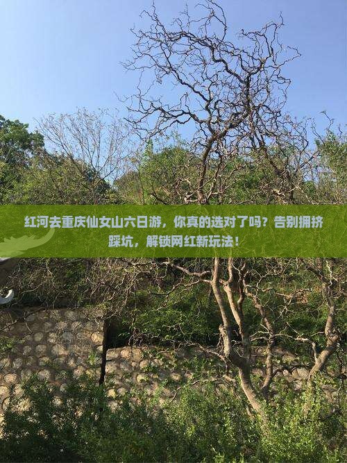 红河去重庆仙女山六日游