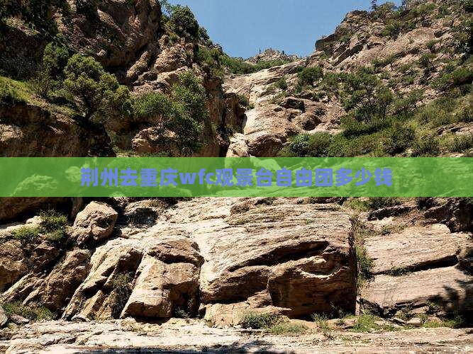 荆州去重庆wfc观景台自由团