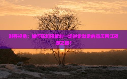 游客视角：如何在和田策划一场说走就走的重庆两江夜游之旅？