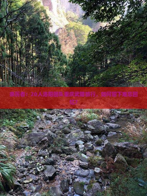 亲历者：20人洛阳团队重庆武隆旅行，如何留下难忘回忆？