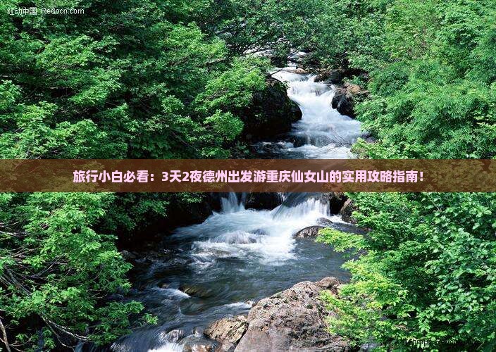 旅行小白必看：3天2夜德州出发游重庆仙女山的实用攻略指南！