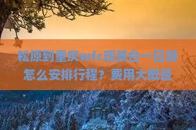 松原到重庆wfc观景台一日游怎么安排行程？费用大概是多少？需要提前预订门票吗？