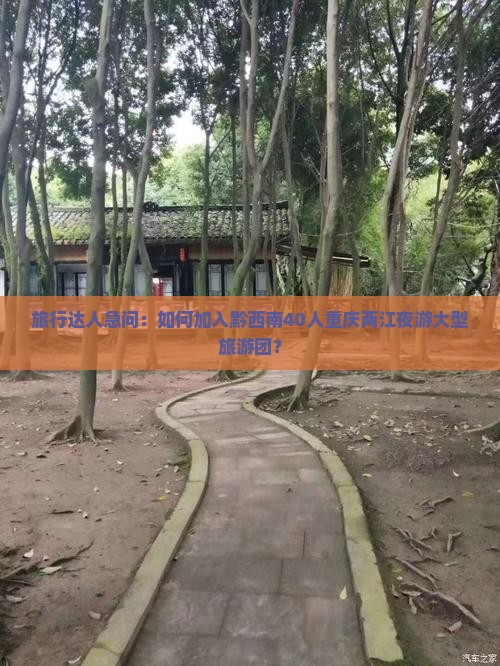 旅行达人急问：如何加入黔西南40人重庆两江夜游大型旅游团？