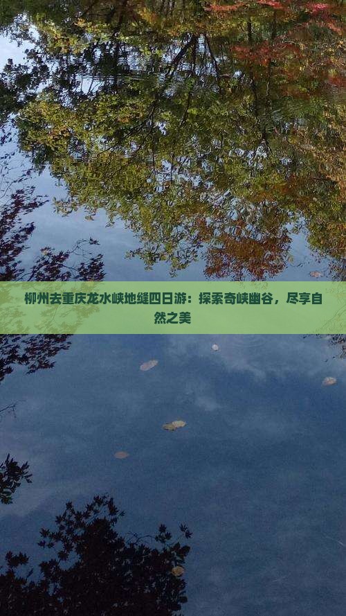 柳州去重庆龙水峡地缝四日游：探索奇峡幽谷，尽享自然之美