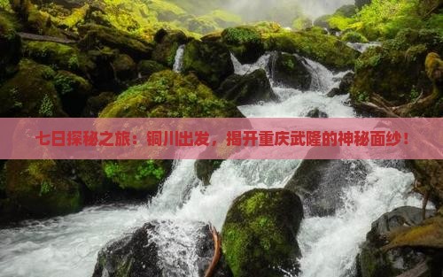 七日探秘之旅:铜川出发,揭开重庆武隆的神秘面纱! 七日探秘之旅:铜川出发,揭开重庆武隆的神秘面纱!
