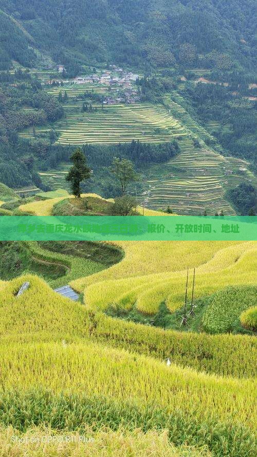 萍乡去重庆龙水峡地缝三日游:报价、开放时间、地址 萍乡去重庆龙水峡地缝三日游:报价、开放时间、地址