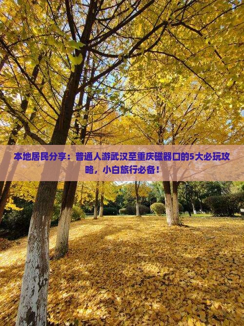 本地居民分享：普通人游武汉至重庆磁器口的5大必玩攻略，小白旅行必备！