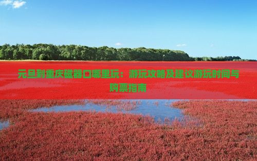 元旦到重庆磁器口哪里玩：游玩攻略及建议游玩时间与购票指南