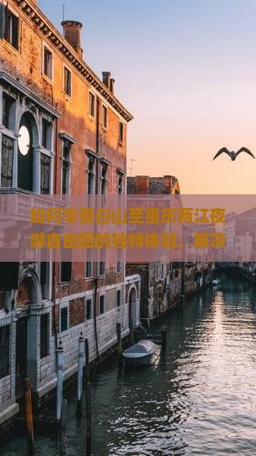 如何享受白山至重庆两江夜游自由团的独特体验，解决游客哪些痛点问题？
