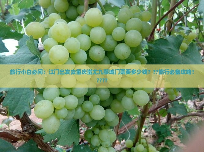 旅行小白必问：江门出发去重庆蚩尤九黎城门票要多少钱？??旅行必备攻略！????