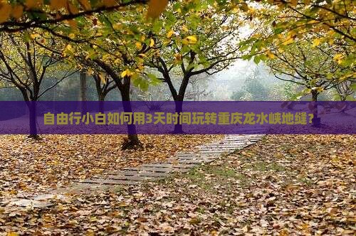 自由行小白如何用3天时间玩转重庆龙水峡地缝？