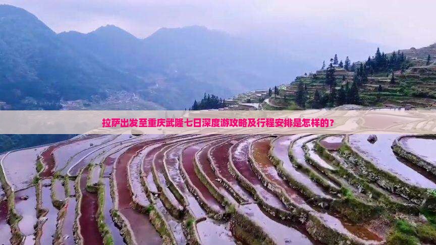 拉萨出发至重庆武隆七日深度游攻略及行程安排是怎样的？