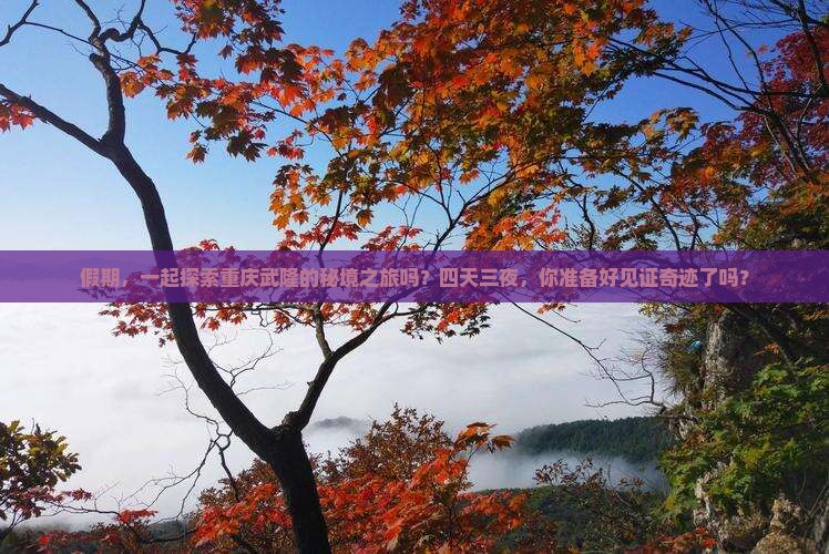 假期，一起探索重庆武隆的秘境之旅吗？四天三夜，你准备好见证奇迹了吗？