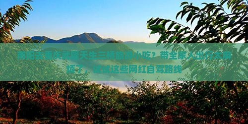 南阳去重庆武隆天生三桥旅游小吃？带全家人出行太麻烦了，试试这些网红自驾路线
