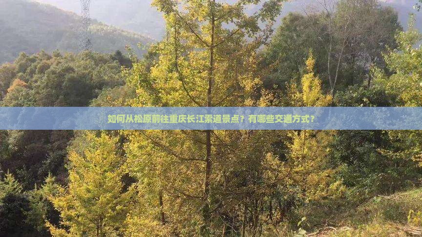 如何从松原前往重庆长江索道景点？有哪些交通方式？