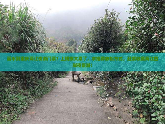 丽水到重庆两江夜游门票？上班族太累了，求推荐放松方式，赶紧收藏两江四岸夜景游！