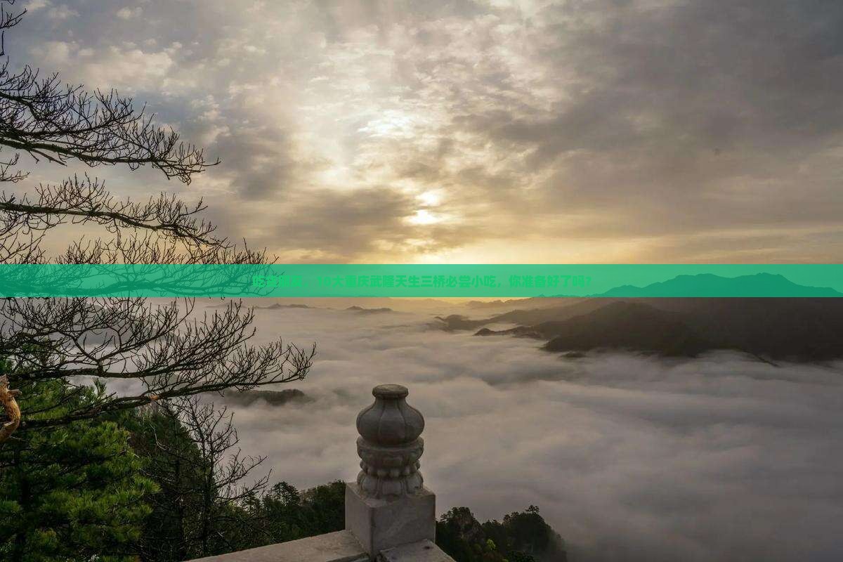 吃货朋友，10大重庆武隆天生三桥必尝小吃，你准备好了吗？