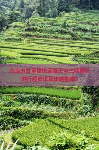 乌海出发至重庆武隆天生三桥四日游行程安排及攻略指南？