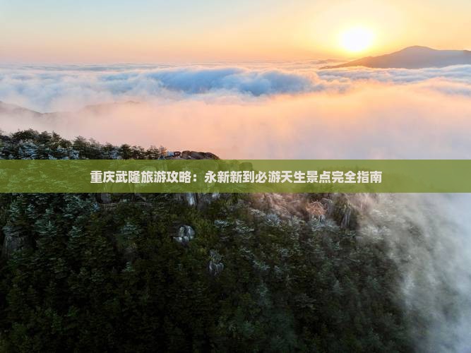 重庆武隆旅游攻略：永新新到必游天生景点完全指南