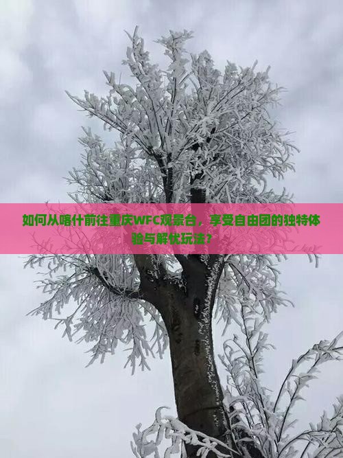 如何从喀什前往重庆WFC观景台，享受自由团的独特体验与解忧玩法？