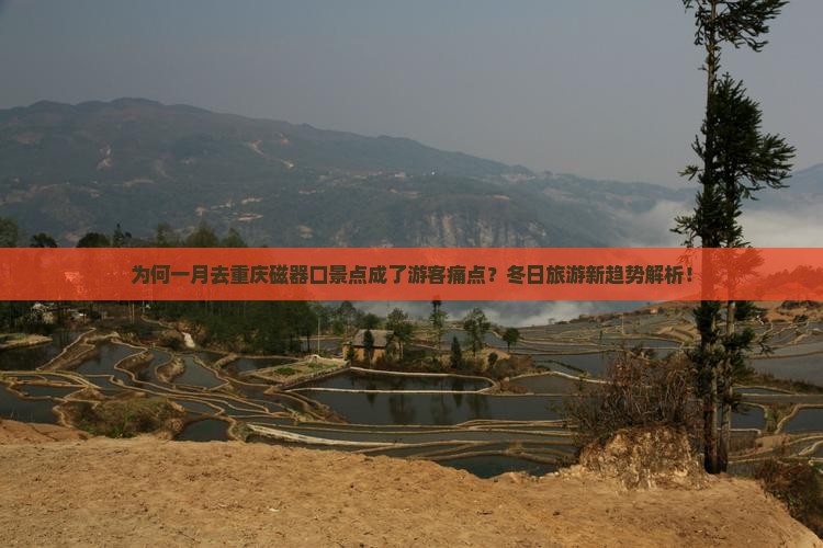 为何一月去重庆磁器口景点成了游客痛点？冬日旅游新趋势解析！