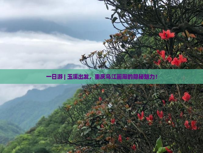 一日游 | 玉溪出发，重庆乌江画廊的隐秘魅力！