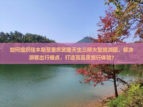 如何组织佳木斯至重庆武隆天生三桥大型旅游团，解决游客出行痛点，打造高品质旅行体验？