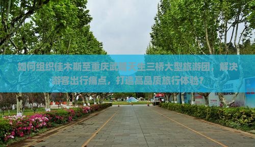 如何组织佳木斯至重庆武隆天生三桥大型旅游团，解决游客出行痛点，打造高品质旅行体验？
