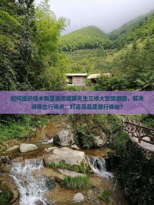 如何组织佳木斯至重庆武隆天生三桥大型旅游团，解决游客出行痛点，打造高品质旅行体验？