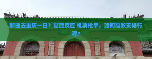 那曲去重庆一日