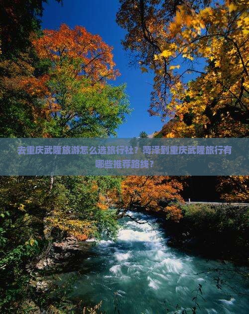 菏泽去重庆武隆旅行社