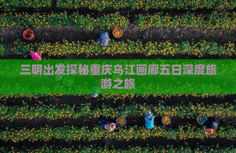 三明到重庆乌江画廊旅行社