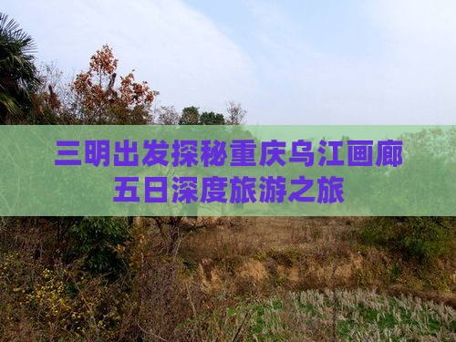 三明到重庆乌江画廊旅行社