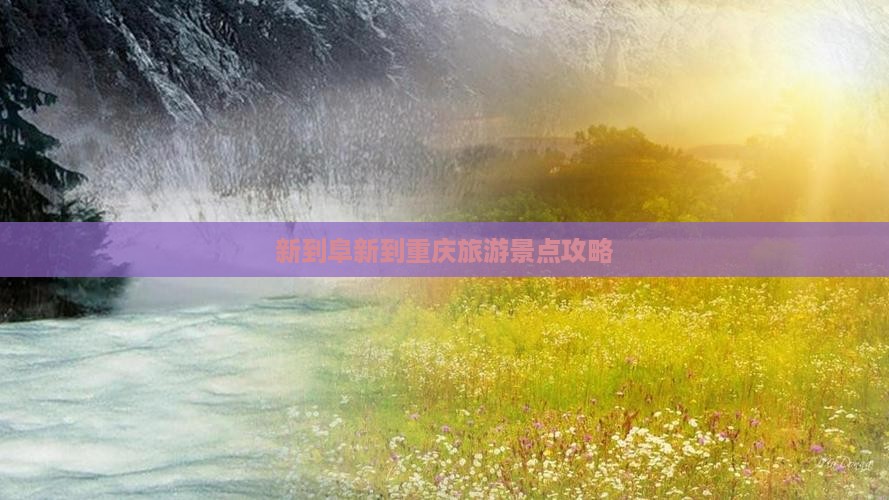 阜新到重庆哪里玩