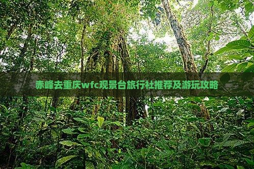 赤峰去重庆wfc观景台旅行社