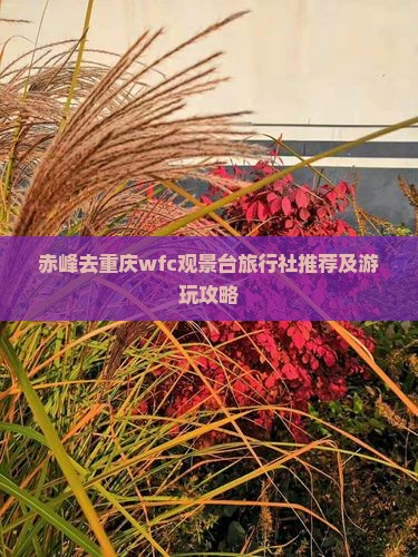 赤峰去重庆wfc观景台旅行社