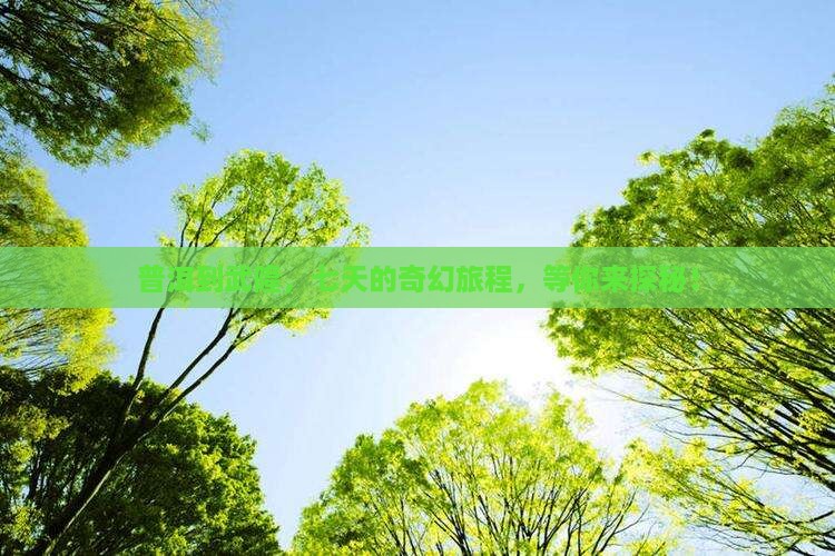 普洱去重庆武隆七日游