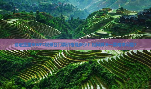 德宏到重庆wfc观景台门票