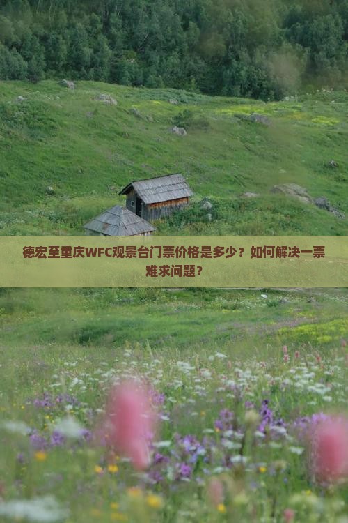 德宏到重庆wfc观景台门票
