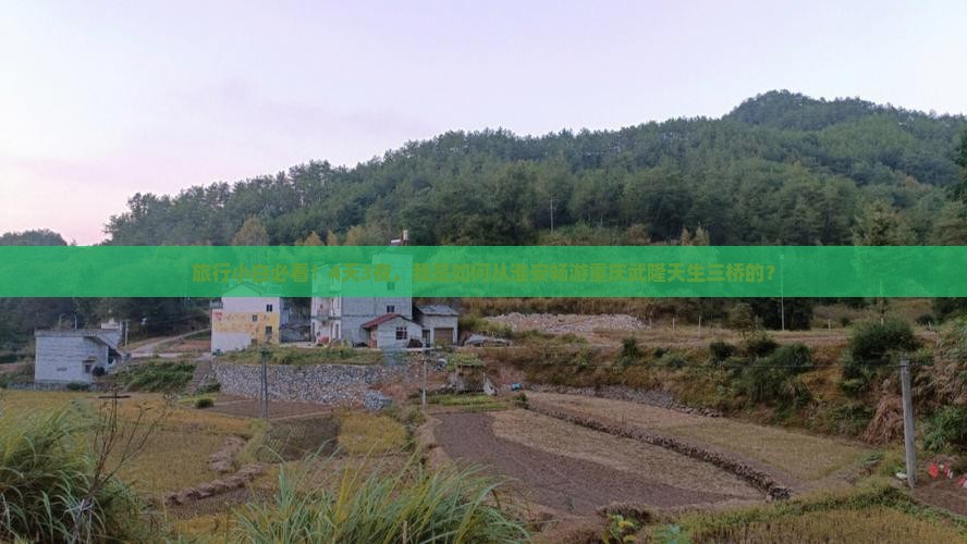 淮安去重庆武隆天生三桥四日游