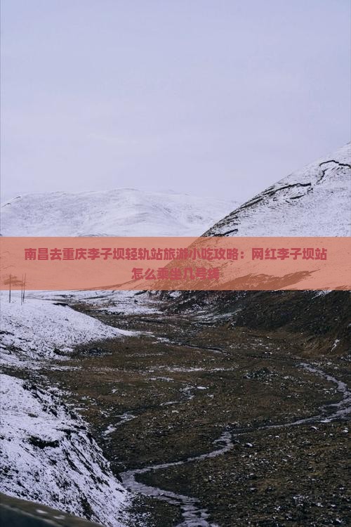 南昌去重庆李子坝轻轨站旅游小吃
