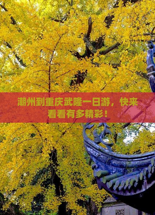 潮州去重庆武隆一日