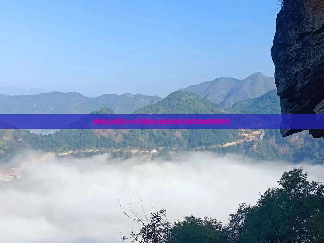 攀枝花去重庆wfc观景台必去地
